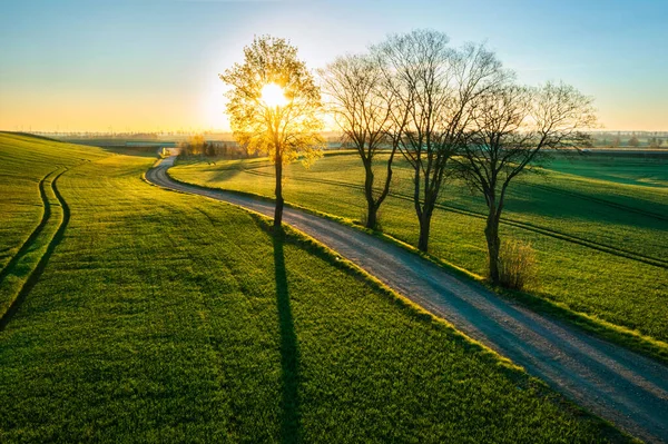 春季波兰北部绿地的空中景观 — 图库照片