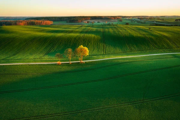 Kuzey Polonya Daki Yeşil Tarlaların Hava Manzarası Ilkbahar Zamanı — Stok fotoğraf