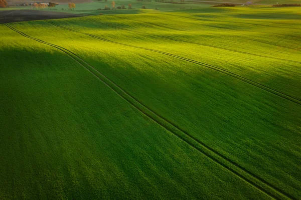 Воздушный Пейзаж Зеленых Полей Севере Польши Весеннее Время — стоковое фото
