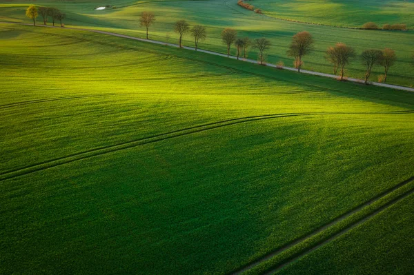 Kuzey Polonya Daki Yeşil Tarlaların Hava Manzarası Ilkbahar Zamanı — Stok fotoğraf