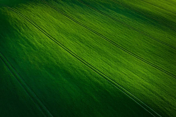 Pohjois Puolan Vihreiden Peltojen Ilmamaisema Keväällä — kuvapankkivalokuva
