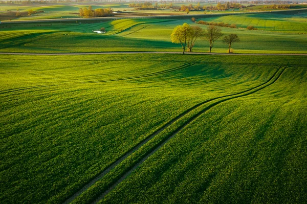 Εναέρια Τοπίο Των Πράσινων Αγρών Στη Βόρεια Πολωνία Την Άνοιξη — Φωτογραφία Αρχείου