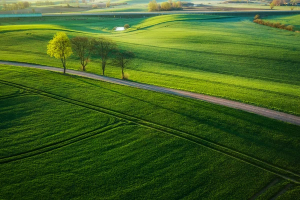 Paesaggio Aereo Dei Campi Verdi Nel Nord Della Polonia Primavera — Foto Stock