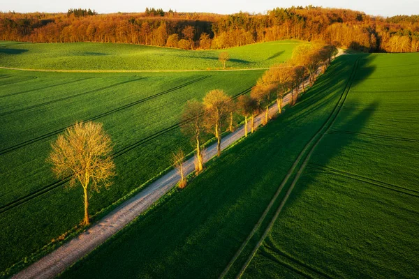 Paysage Aérien Des Champs Verts Dans Nord Pologne Printemps — Photo