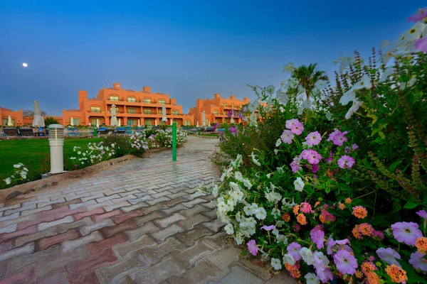Marsa Alam Egito Maio 2023 Arquitetura Tradicional Akassia Swiss Resort — Fotografia de Stock