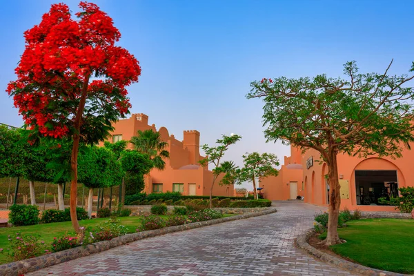 Marsa Alam Egypten Maj 2023 Traditionell Arkitektur Akassia Swiss Resort — Stockfoto