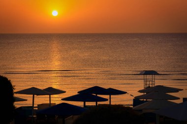 Güneş doğarken Kızıl Deniz 'in yanındaki şempanzeler, Mısır