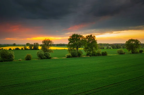 Πράσινα Χωράφια Ηλιοβασίλεμα Sobieszewo Πολωνία — Φωτογραφία Αρχείου