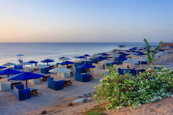 在埃及 日出时分 马萨阿拉姆海滩上躺着带着雨伞的日光浴者 — 图库照片