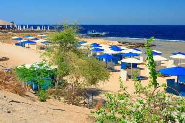 Marsa Alam, Mısır 'da Kızıldeniz' de şemsiyeli güneşli plaj
