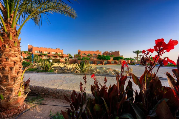 Marsa Alam Egypte Mei 2023 Prachtige Tuinen Van Het Akassia — Stockfoto