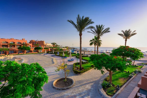 Marsa Alam Egypt May 2023 Beautiful Gardens Akassia Swiss Resort — 图库照片