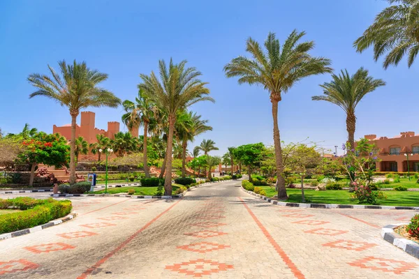 Marsa Alam Egypt May 2023 Beautiful Gardens Akassia Swiss Resort — Stock Photo, Image