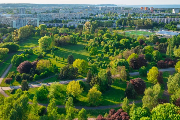 Zelený Park Gdaňsku Zaspa Slunečného Dne Polsko — Stock fotografie