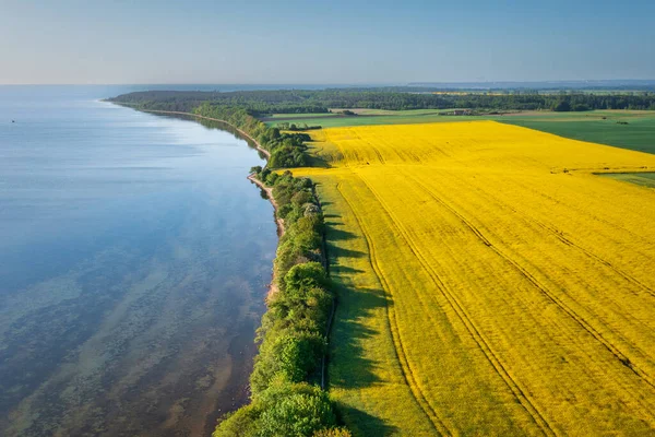 폴란드 노란색 — 스톡 사진