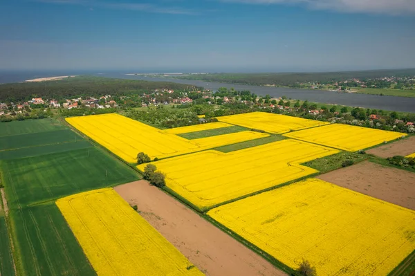 노란색 소비에 폴란드 — 스톡 사진