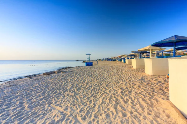 Sdraio Con Ombrelloni Sulla Spiaggia Marsa Alam All Alba Egitto — Foto Stock