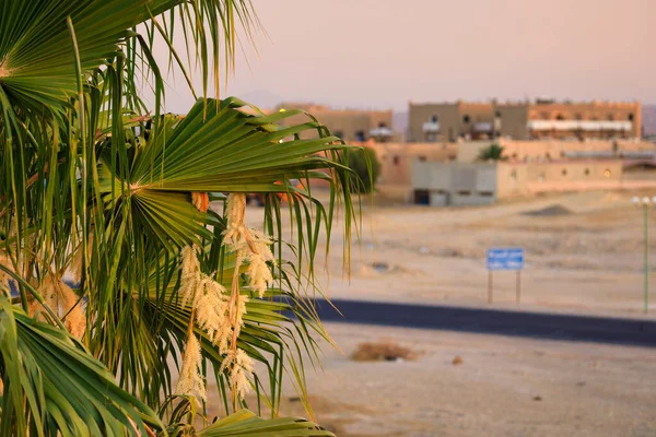 Захід Сонця Над Пустелею Єгипті — стокове фото