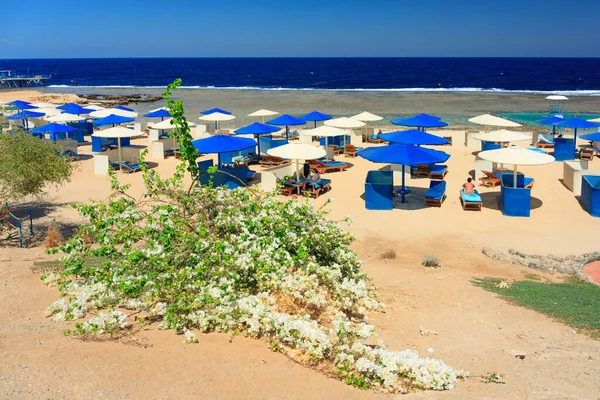 Pantai Cerah Dengan Payung Laut Merah Marsa Alam Mesir — Stok Foto