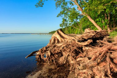 Gündoğumunda, Polonya 'nın Rzucewo kentinde Baltık Denizi' nin güzel manzarası