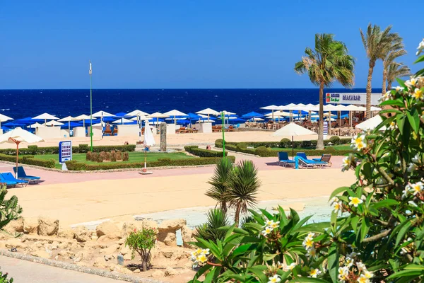 Marsa Alam Egypten Maj 2023 Vackert Strandområde Akassia Swiss Resort — Stockfoto