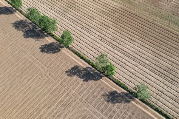 Luftbilder Von Trockenen Feldern Unter Blauem Himmel Polen — Stockfoto