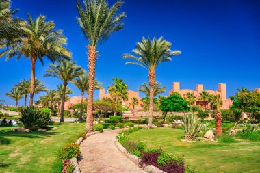Marsa Alam, Mısır - 8 Mayıs 2023: Marsa Alam, Mısır 'da Kızıldeniz kıyısındaki Akassia İsviçre Resort' unun güzel bahçeleri.