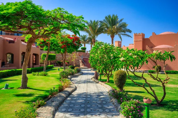 Marsa Alam Egipt Maja 2023 Piękne Ogrody Akassia Swiss Resort — Zdjęcie stockowe