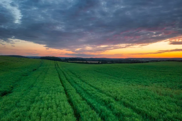 ポーランドの牧草地の上の牧歌的な夕日 — ストック写真