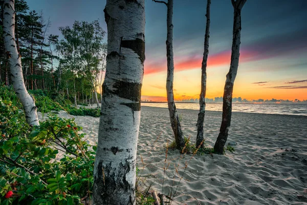 Polonya Nın Gdansk Kentindeki Baltık Denizi Nde Inanılmaz Bir Gün — Stok fotoğraf