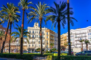 Valencia, İspanya - 21 Ocak 2023: Güneşli bir günde Valencia şehrinin eski caddesi, İspanya.