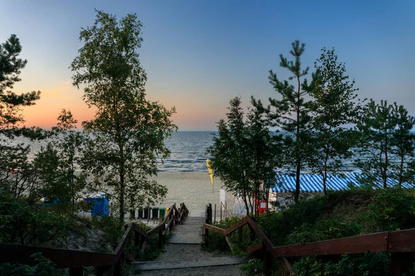 ポーランド サンセットでサッツォーのバルト海のビーチによる松林 — ストック写真