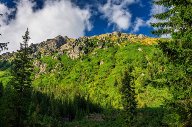 Yazın Tatra dağlarında güzel bir manzara, Polonya