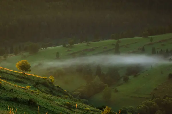 Утренний Туман Татрами — стоковое фото