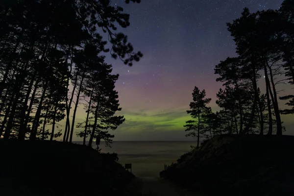 Polonya Nın Sztutowo Kentindeki Baltık Denizi Nin Girişindeki Kuzey Işıkları — Stok fotoğraf