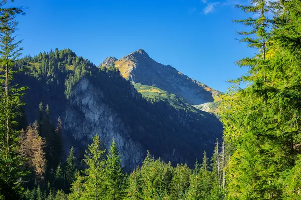 Vackert Landskap Tatrabergen Sommaren Polen — Stockfoto