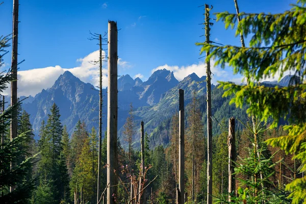 Beautiful Landscape Tatra Mountains Summer Poland — Stock Photo, Image