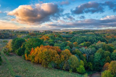 Günbatımında sonbahar ağaçları olan güzel bir manzara. Polonya