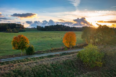 Günbatımında sonbahar ağaçları olan güzel bir manzara. Polonya