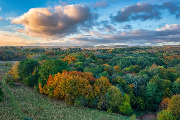Günbatımında sonbahar ağaçları olan güzel bir manzara. Polonya