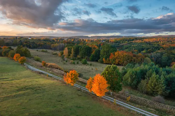 Beautiful Landscape Autumn Trees Sunset Poland — Stock Photo, Image