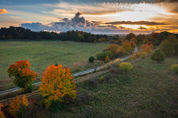 Günbatımında sonbahar ağaçları olan güzel bir manzara. Polonya