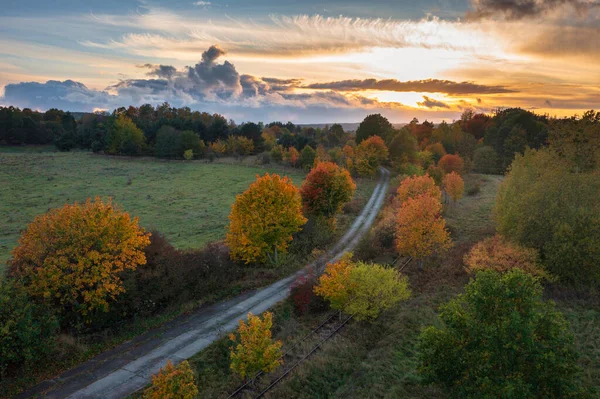 Beautiful Landscape Autumn Trees Sunset Poland — Stock Photo, Image