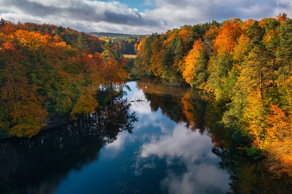 Pemandangan Hutan Autumnal Dan Memutar Sungai Radunia Kashubia Polandia — Stok Foto