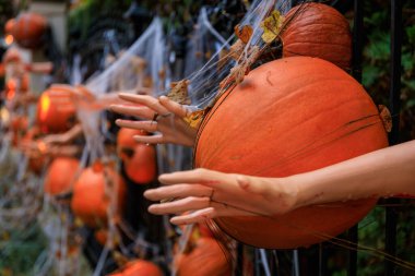 Çitteki korkunç Cadılar Bayramı süslemeleri. Polonya