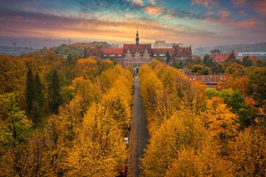 Gdansk Teknoloji Üniversitesi 'nin güzel binası sonbaharda. Polonya