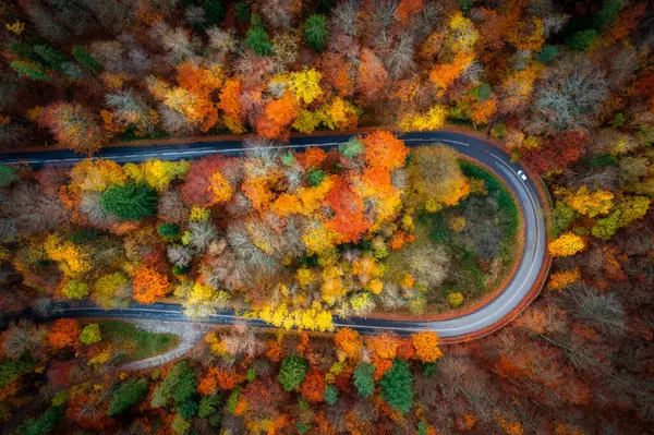 Winding Road Kashubian Lake District Autumn Poland — Stock Photo, Image
