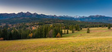 Sonbaharda Tatra Dağları 'nın altındaki çayırda güzel bir gündoğumu. Polonya