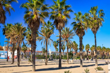İspanya, Valencia Playa de las Arenas plajında güzel bir gezinti.