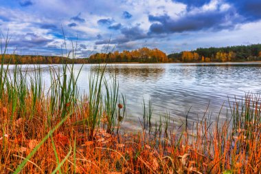 Autumnal landscape of Kashubian lakes and forests, Poland clipart